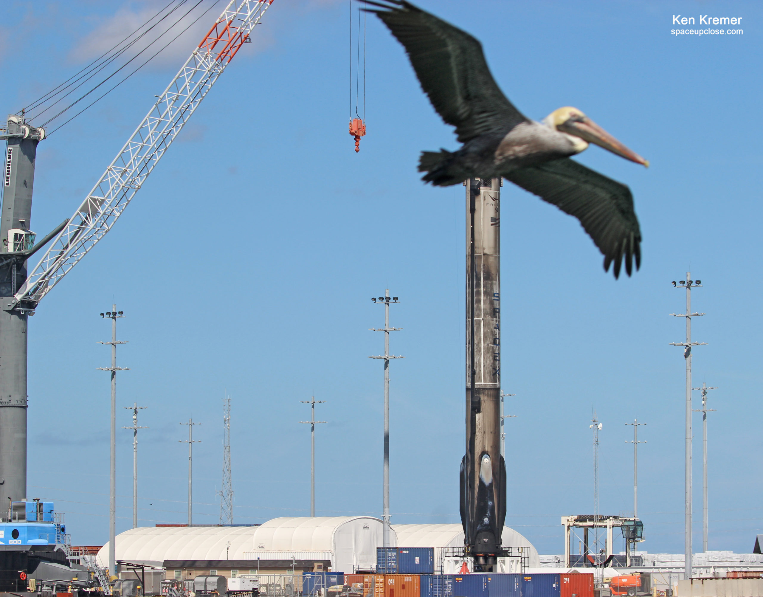 Picturesque Pelicans Patrol SpaceX Recovered Falcon 9 Booster Sailed into Port Canaveral: Photos