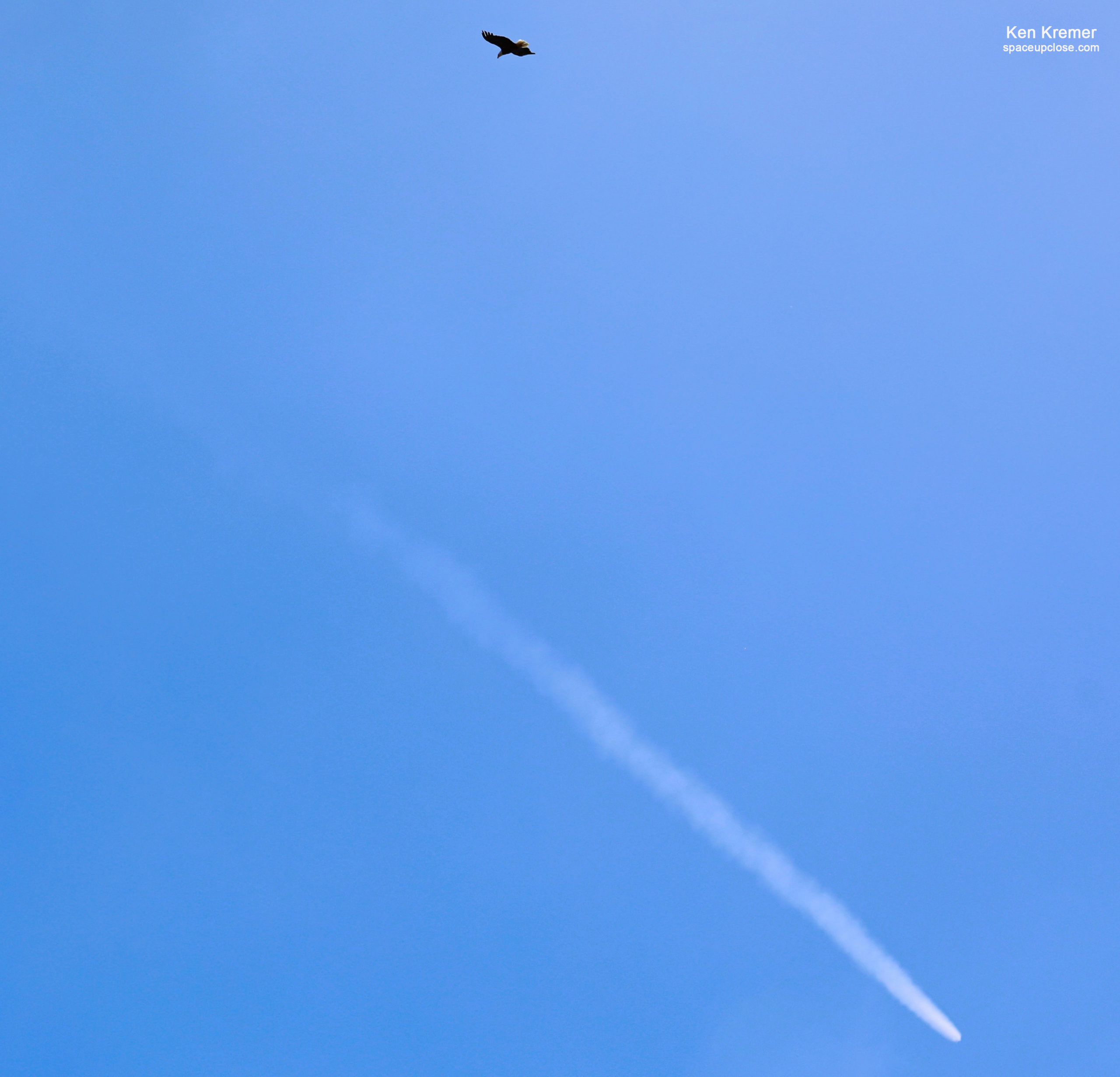 The Falcon and the Eagle: Beautiful SpaceX Starlink Launch Seen from Kennedy Space Center Visitor Complex: Photos